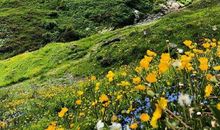 保持一颗宁静的心，是成功所必备的