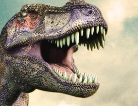 关于“恐龙灭绝假说”的思考