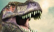 读《恐龙灭绝假说》有感