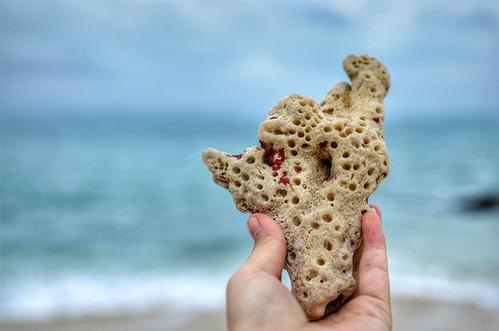 上帝告诉你那里有天堂，但是上帝不会把你拉进天堂