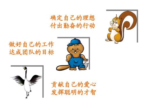 敢为我的梦想付出一切