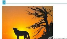 九个段子胜过你今年读的所有文章