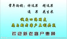 有关鞋子的名言