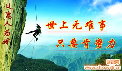 85个成功的励志名言