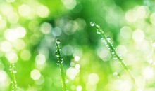 平凡与伟大的名言