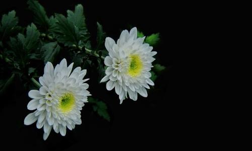 关于失踪母亲的一句话