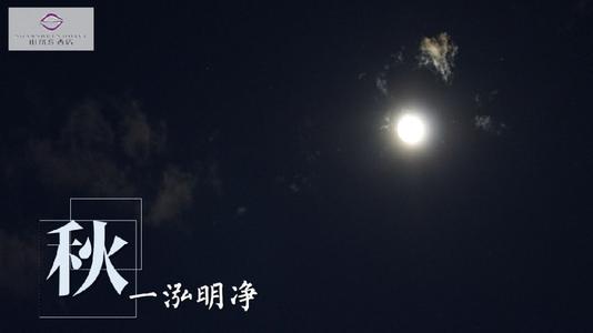 经典语录：只要我被打破，我就会随风飞翔