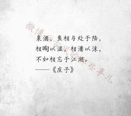 关于情感的名言