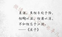 关于情感的名言警句