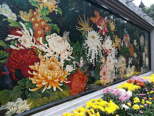 风景构成：美丽的菊花园