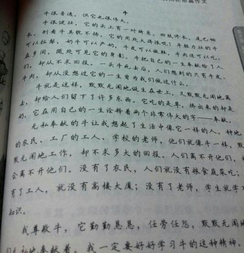 摘录500字