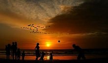 不避过往，不畏将来，直面当下 ——《岛》读后小感