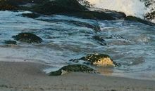 柔情似水的句子