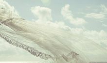 感悟生命的文章