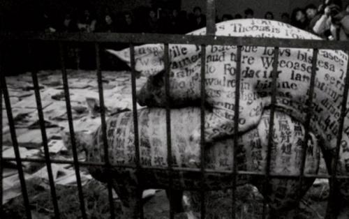 陈丹青：我不应该怜惜我的青春，而是同情今天的后代