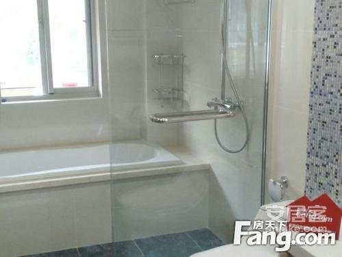 经典语录：抛开世界上所有的烦恼，让光明的叶子跟随梦想