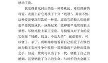 狼王梦读后感200字