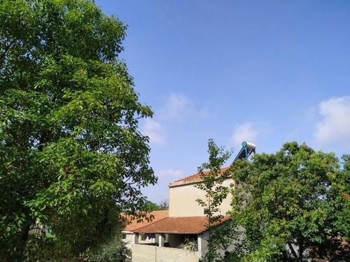 李光天:向往的心