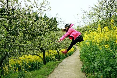 用步行马看句子中的花朵