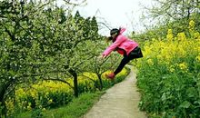 用走马看花造句