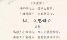 有关母爱的语句