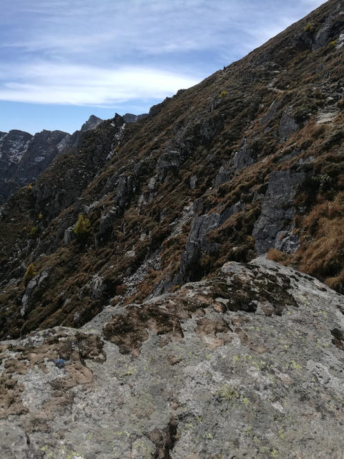 人生的旅程是这样的：您进入的越深，前进的难度就越大，并且越奇怪