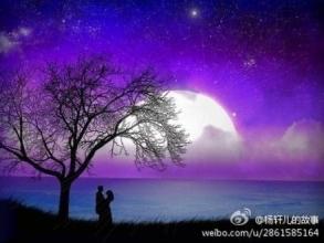 经典语录：岁月如水，让我无休止地想念你；蝴蝶与花朵的秋天，让你永远温柔