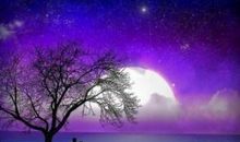 经典语录：似水流年，允我相思不尽；蝶花陨落，许你一世柔情