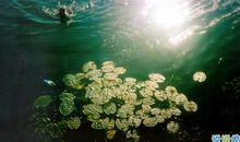 最有含义的一句话