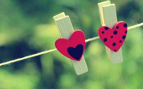 经典语录：不想见面，一见钟情，我只想怀念一颗心