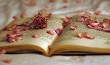 致岁月：你终于对我下毒手了