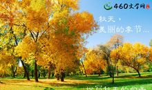 赞美秋天的经典句子