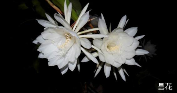 即使是顿悟，也很棒