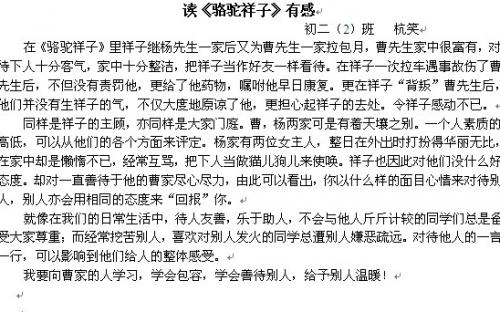 读《骆驼相子》后的感想