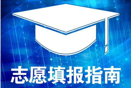 高考志愿者报名：并行志愿活动方法与技巧
