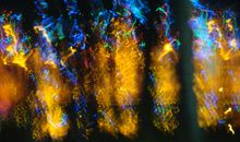 《给他们恩典》读后感