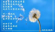 描写蒲公英的优美句子