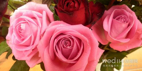 父母的结婚纪念日问候