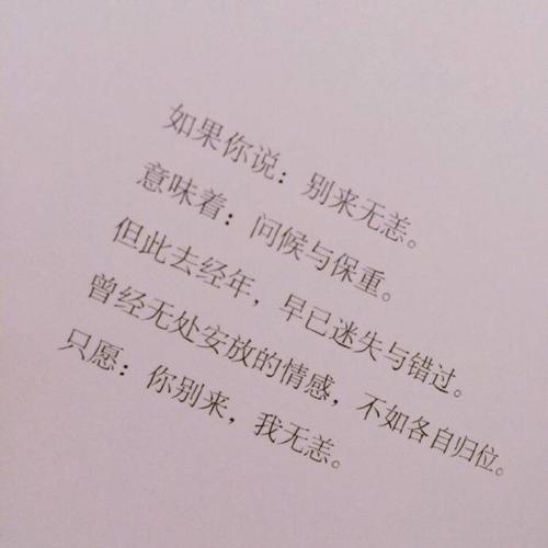 不要一言以蔽之