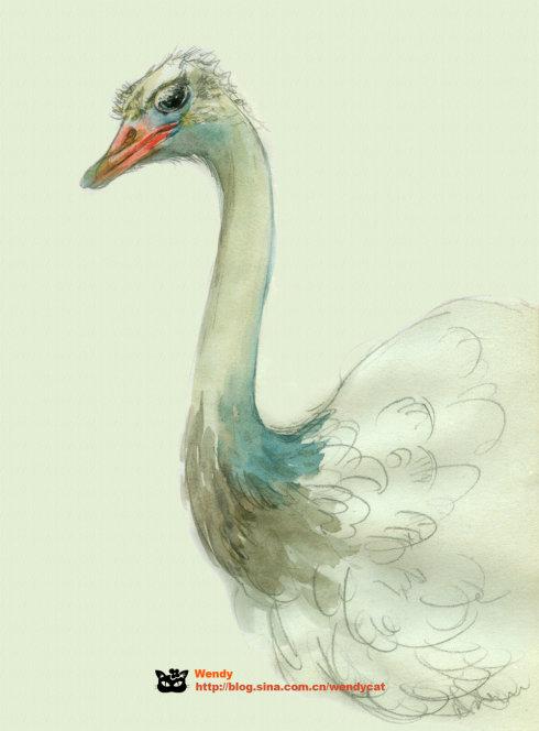 林庆轩:鸵鸟的智慧