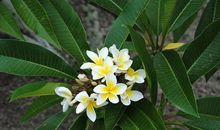 人生在世有两件事绝对不能做