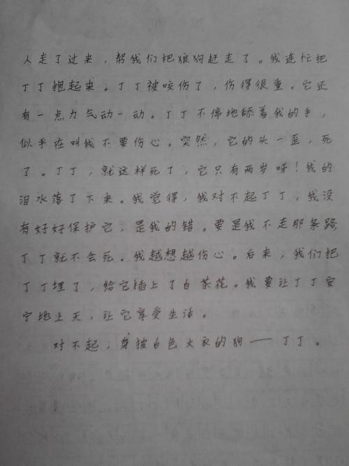 “吹鸡毛”比赛组成