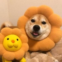 莫泊桑：保护者