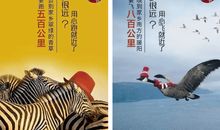 回家过年的优美句子