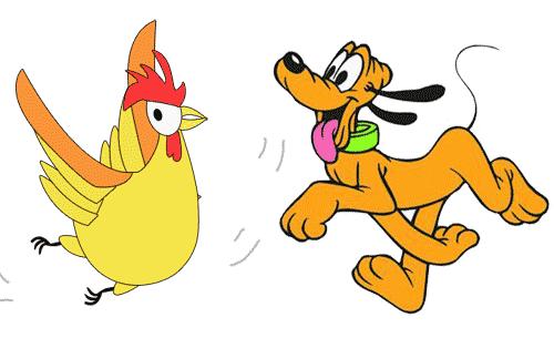 关于鸡肉的成语