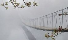 王鼎钧：失楼台