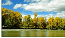 沈从文：云南看云