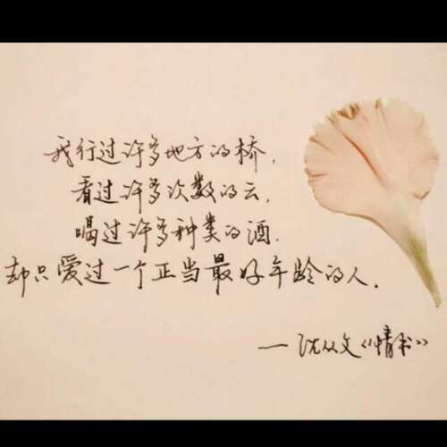 沉从文：我喜欢你