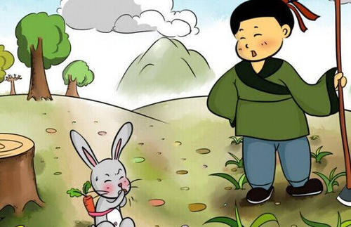 关于兔子的成语