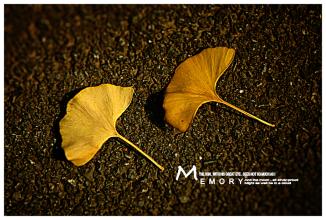 关于秋天的签名